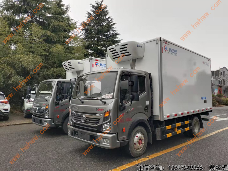 （厢长4.2米）国六东风凯普特冷藏车