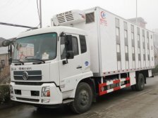 （厢长6.6米）东风天锦猪仔禽畜运输车