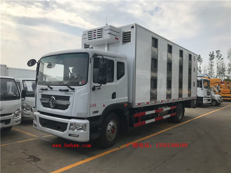 东风D9猪苗冷藏运输车